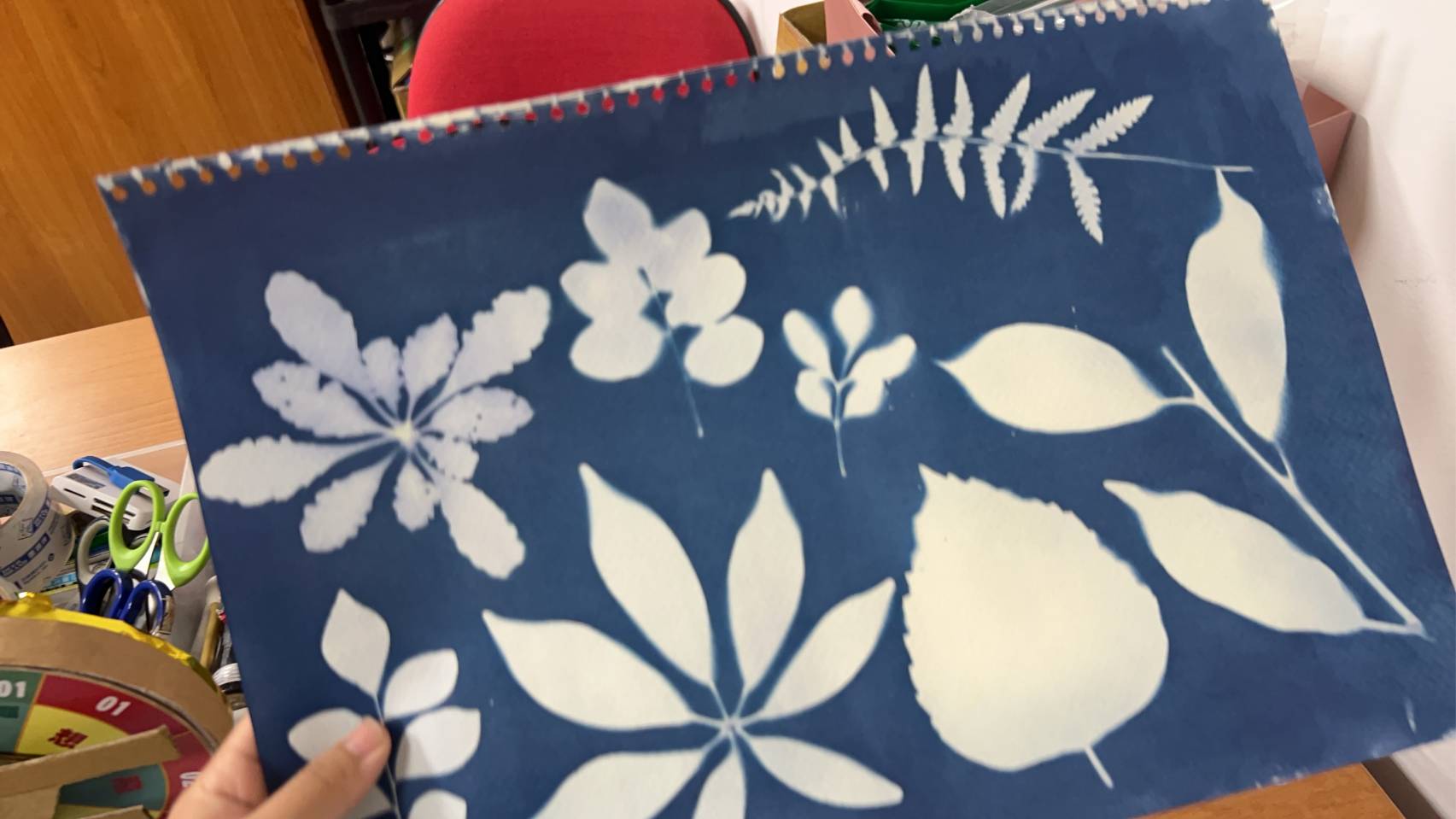藍曬作品 5